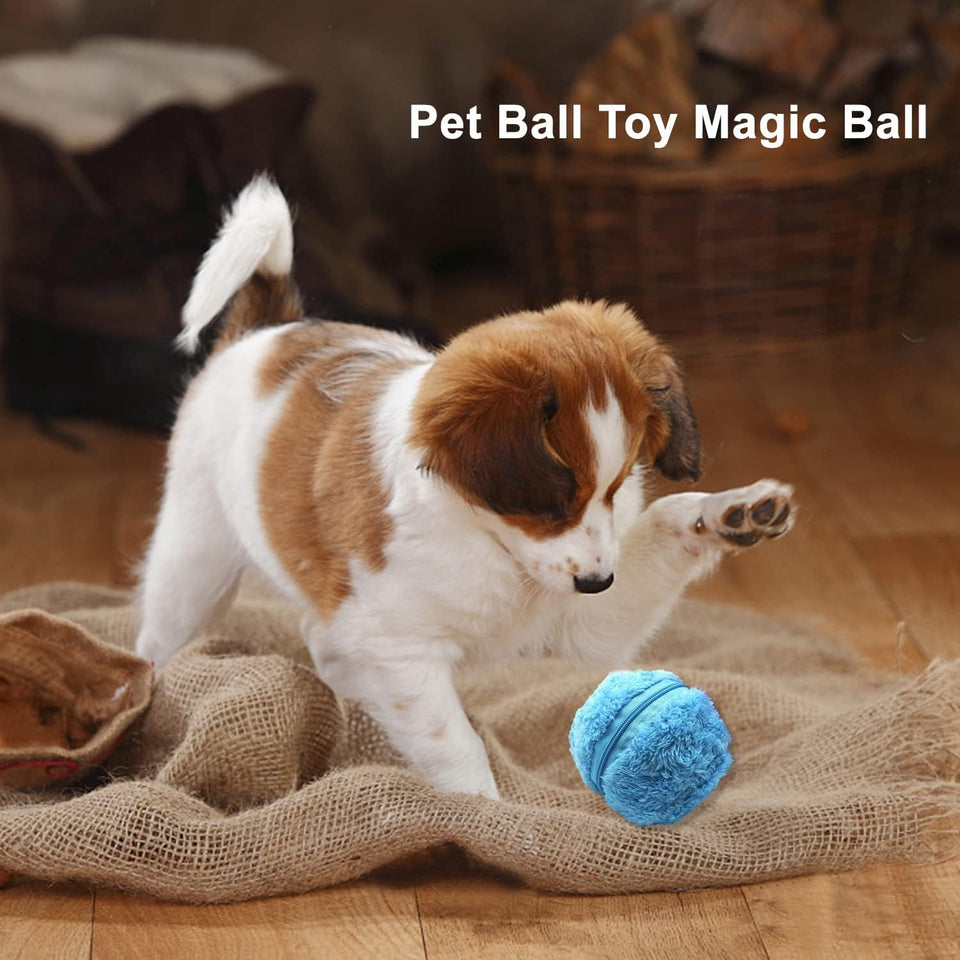 SpinFit – Active Rolling Ball
