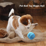 SpinFit – Active Rolling Ball