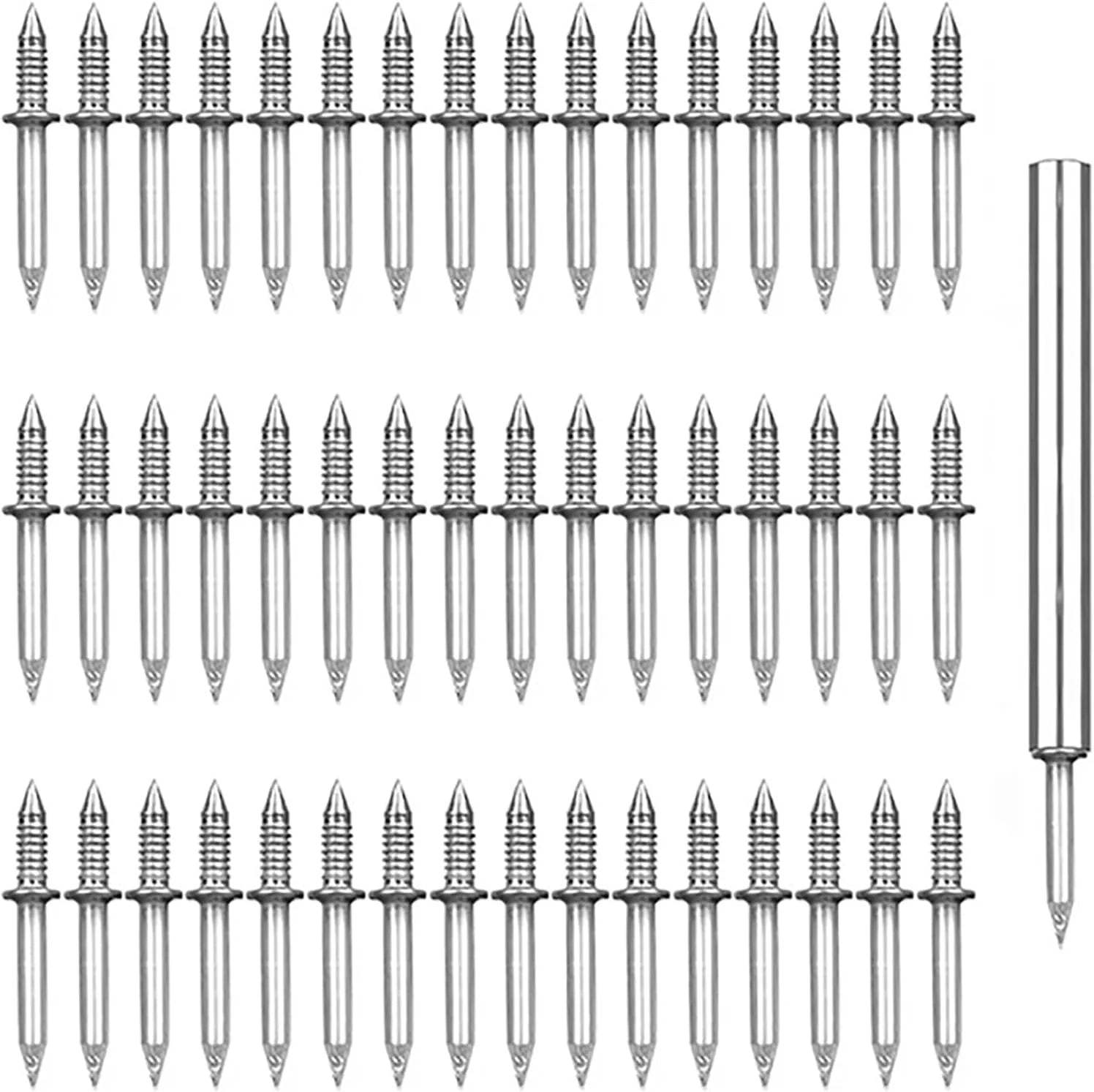 DualGrip – Precision Skirting Nails