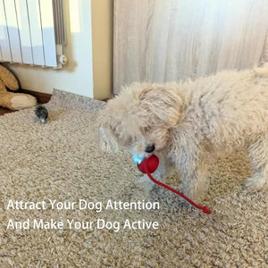 PetPlay - Smart Interactive Pet Toy Ball