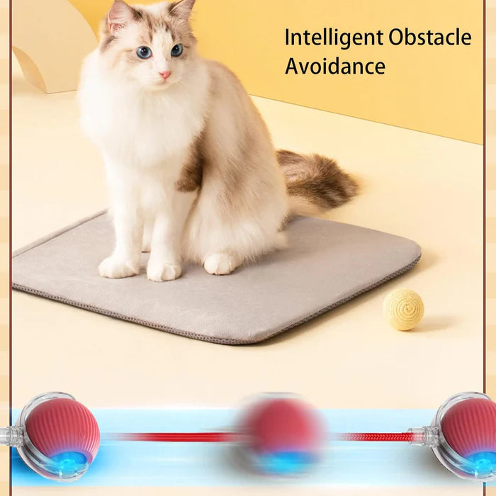 PetPlay - Smart Interactive Pet Toy Ball