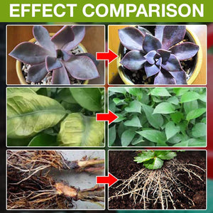 GrowBoost – Advanced Plant Growth Enhancer