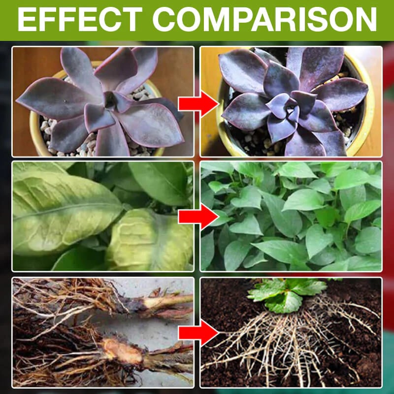 GrowBoost – Advanced Plant Growth Enhancer