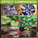 GrowBoost – Advanced Plant Growth Enhancer