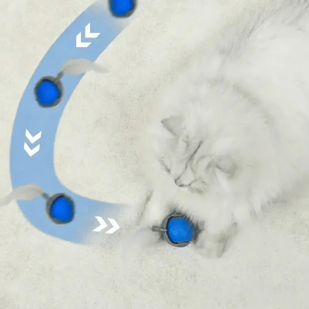 SwiftPaw | Teasing Tail Ball