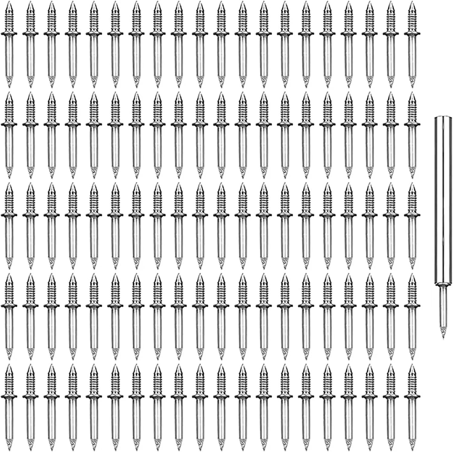 DualGrip – Precision Skirting Nails