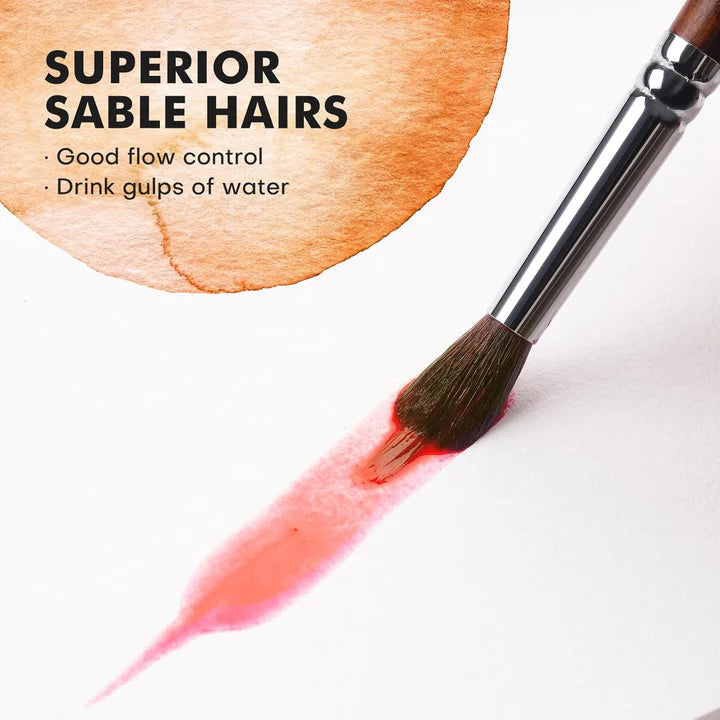 DetailEase – Precision Brushes for Fine Art