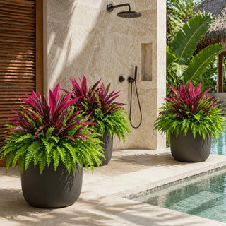 💥Summer Special🔥UV-Resistant Artificial Fern & Red Dracaena Decorative Plants – Full, Lush & Fade-Resistant!