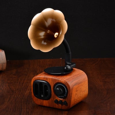 EchoGram - Vintage Wooden Bluetooth Speaker