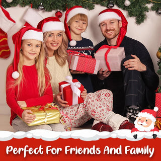 HollyLite - Cozy Christmas Outdoor & Indoor Lights
