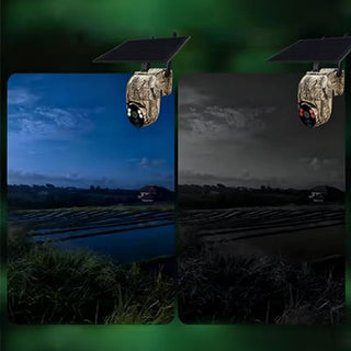 Aless™ Solar camouflage camera