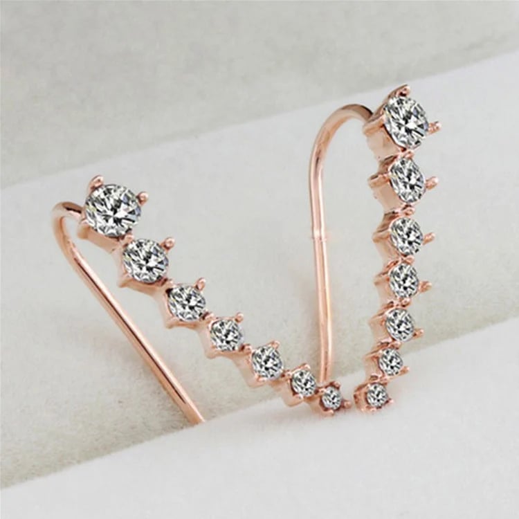 Brilliance - Fashionable Studs for Confident Women