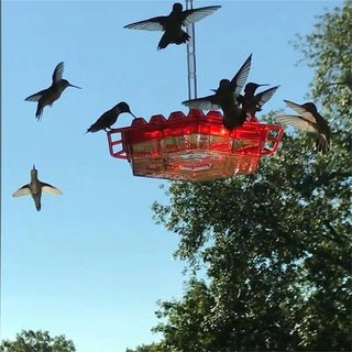 SkySip | Charming Outdoor Hanging Hummingbird Feeder