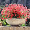 Red  Narcissus