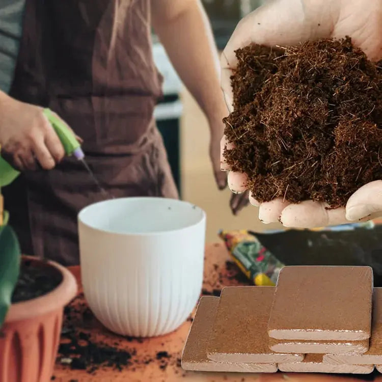 CocoBrick™ - Organic Coconut Coir for Plants marnetic