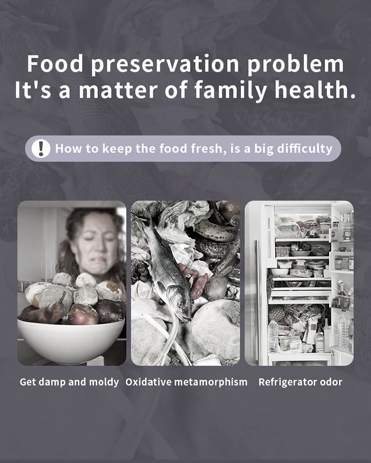 FreshLock – Mini Wireless Vacuum Sealer