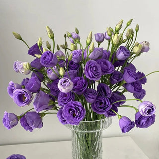 FloraDelight - Thornless Roses in Pink, Blue & Purple