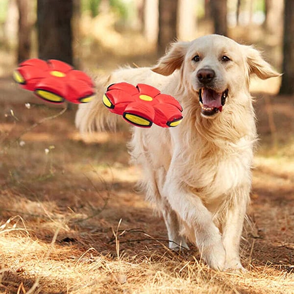 PupGlide – Transforming Disc Ball Toy for Dogs