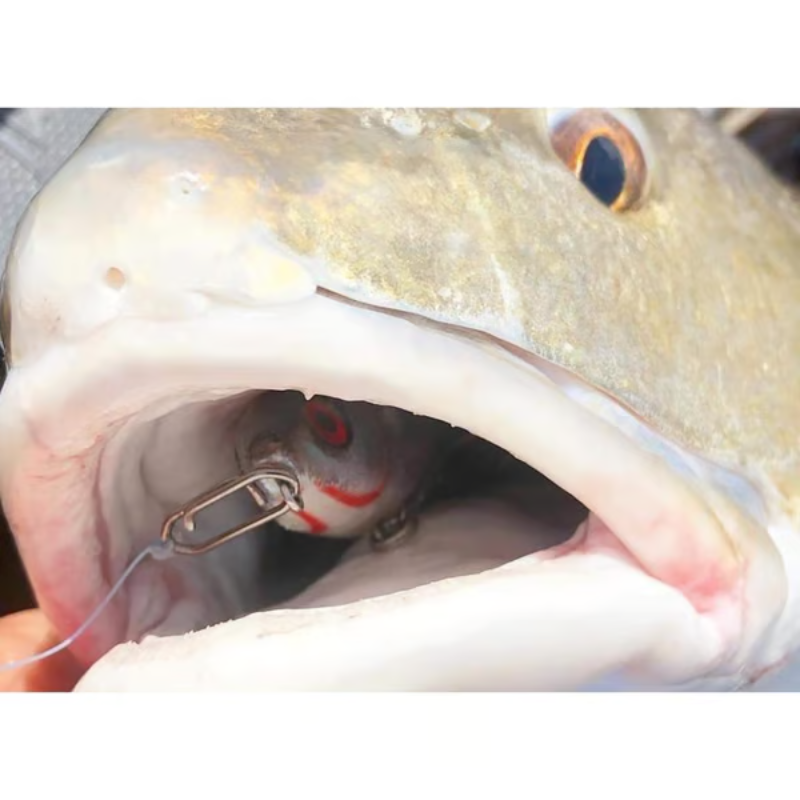 TopwaterCo – Quick Snap Fishing Speed Clips