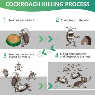 InsectBarrier – Roach Control Solution