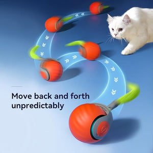 SwiftPaw | Teasing Tail Ball