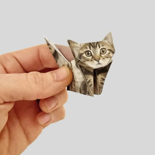 PaperPaws – A Cat Lover’s DIY Paradise