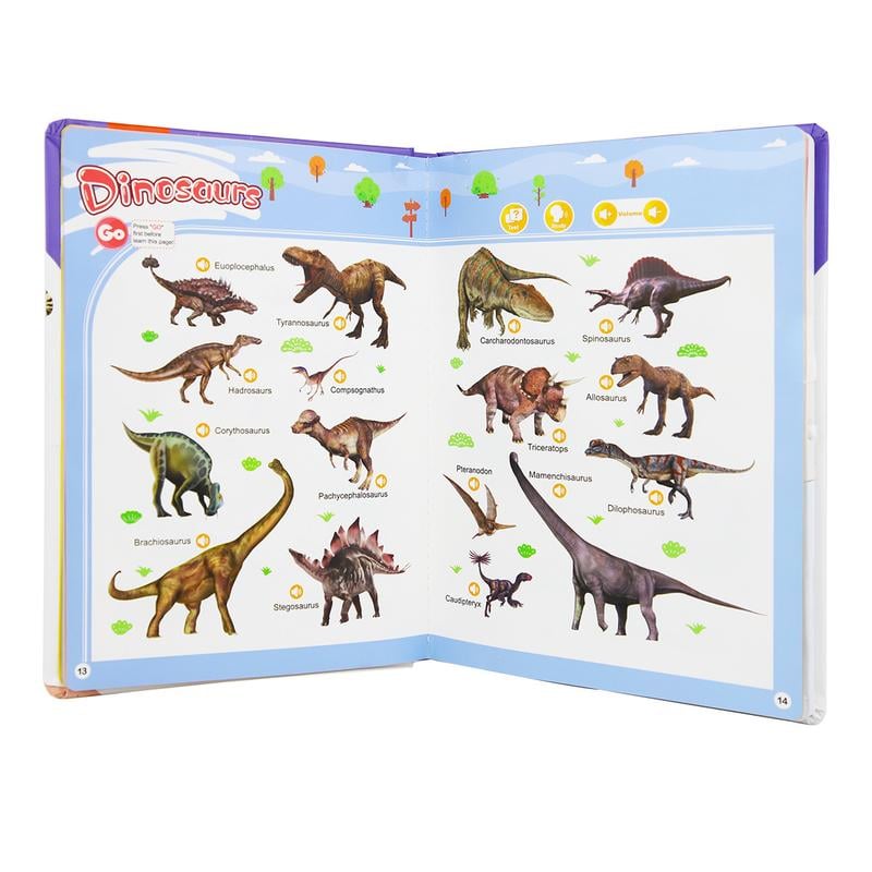 LittleLingo – English Learning Sound Toy