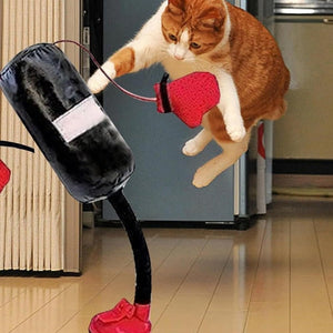 MeowMotion – Interactive Punching Bag
