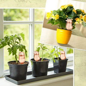 TranspaFlow - Transparent  Automatic Plant Hydrator