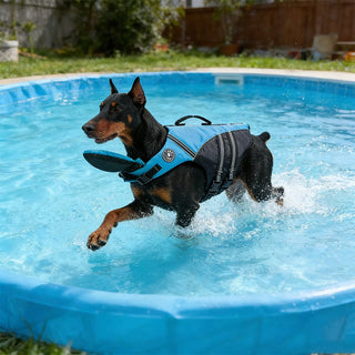 🐾Dog Life Jacket - High Buoyancy Foam, Adjustable Fit