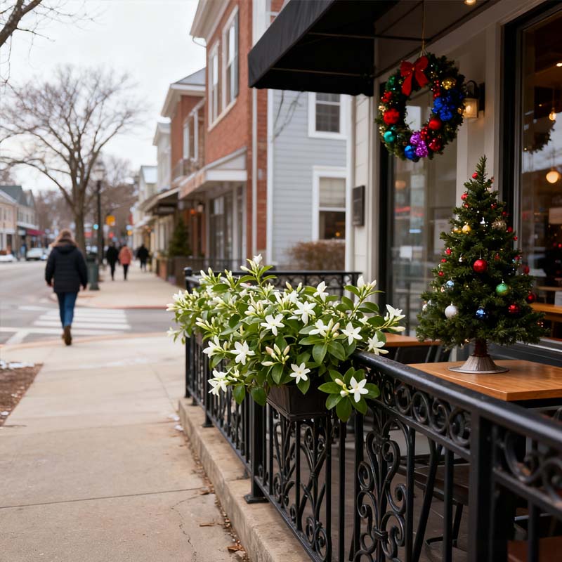 Midnight Perfume Jasmine Seeds
