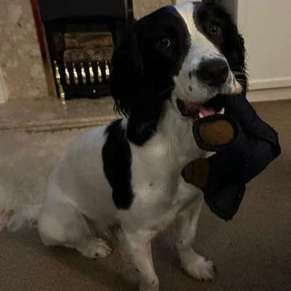 BearTough -  Durable Chew Toy