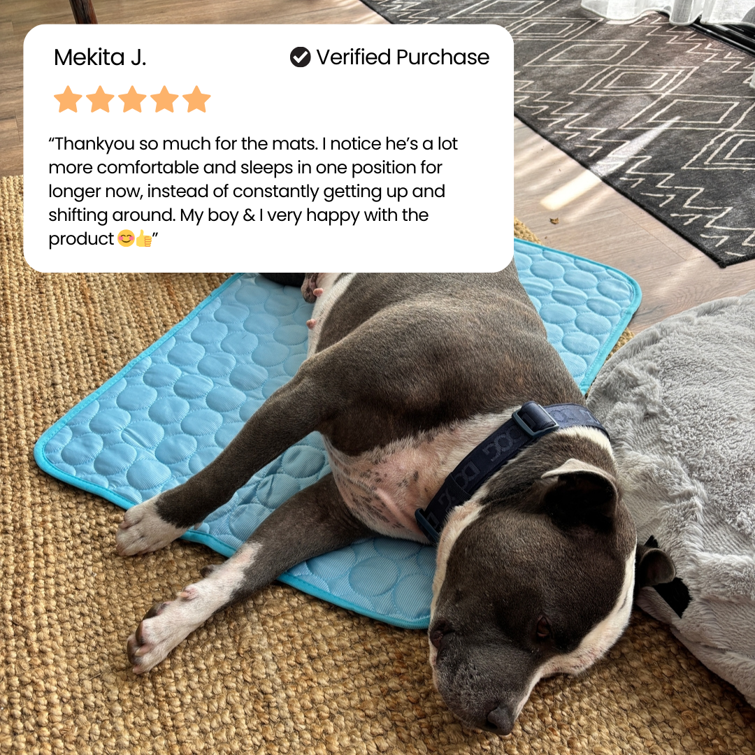 ❄️🐶 So bleibt Ihr Hund den ganzen Sommer über schön kühl – die „Instant Ice-Silk“-Kühlmatte für sofortigen Komfort! 🐾🔥