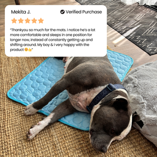 ❄️🐶 So bleibt Ihr Hund den ganzen Sommer über schön kühl – die „Instant Ice-Silk“-Kühlmatte für sofortigen Komfort! 🐾🔥