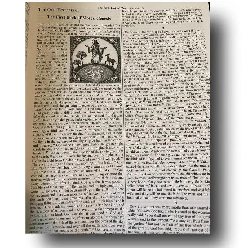 🔥LAST DAY 70% OFF🔥THE COMPLETE ETHIOPIAN BIBLE in English