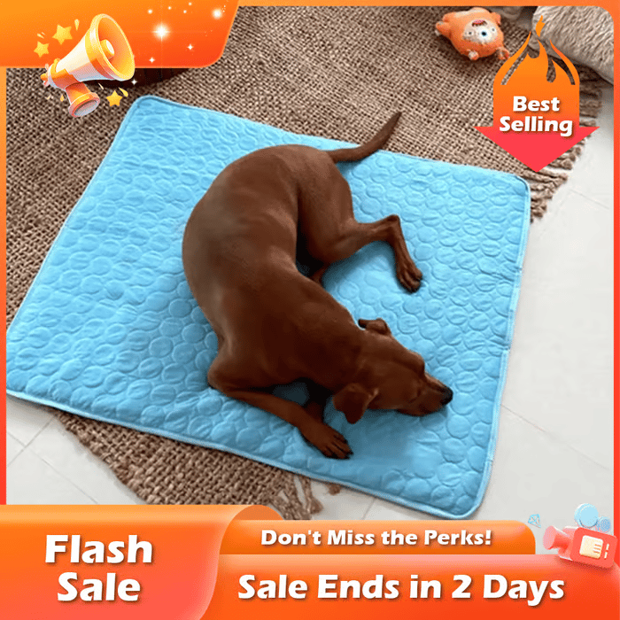 🐾Dog Mat