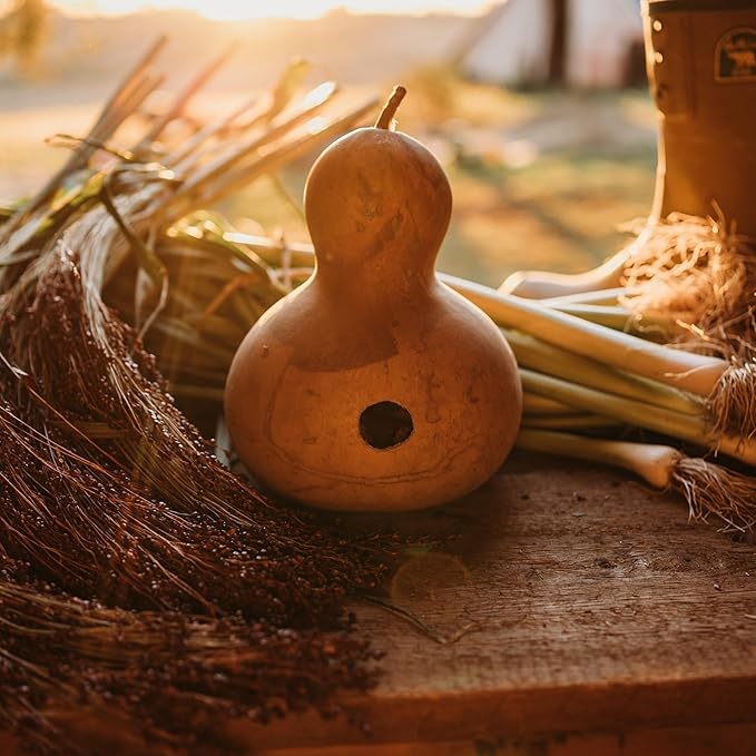 BirdHaven – Natural Gourd Birdhouse Set