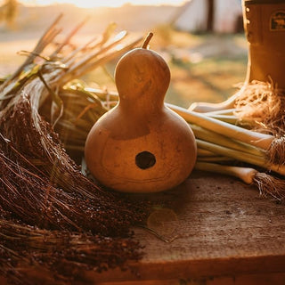 BirdHaven – Natural Gourd Birdhouse Set