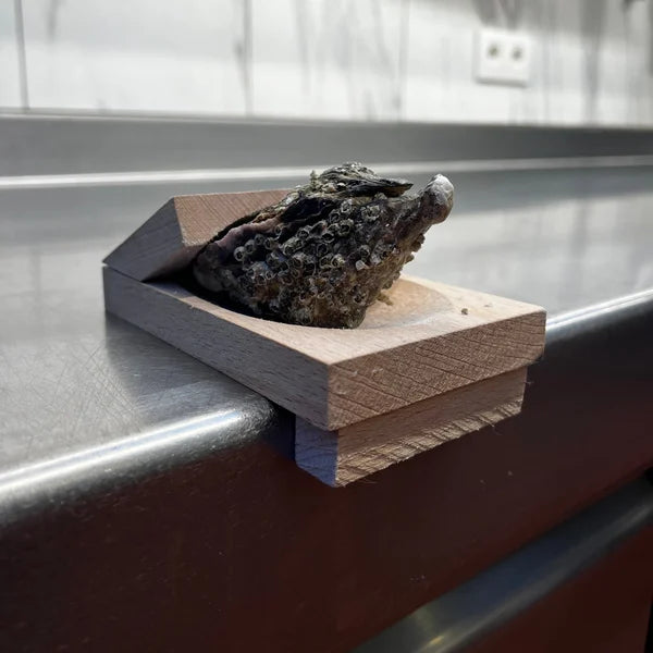 SureGrip Oyster Shucking Clamp marnetic