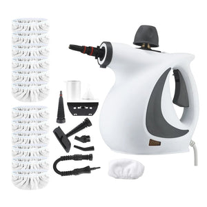 SteamPure – High Pressure Disinfection Cleaner