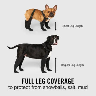 Doggie Strap Paw Protectors marnetic