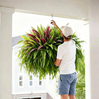 💥Summer Special🔥UV-Resistant Artificial Fern & Red Dracaena Decorative Plants – Full, Lush & Fade-Resistant!
