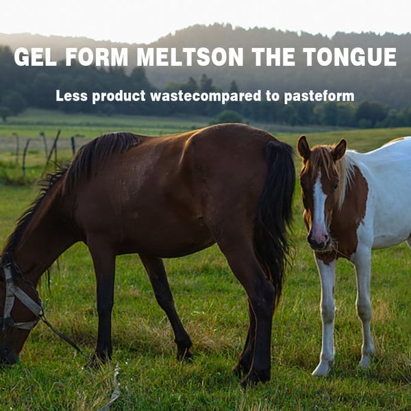 StableSafe - Trusted Horse Parasite Control