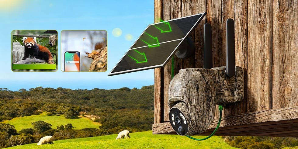 Aless™ Solar camouflage camera