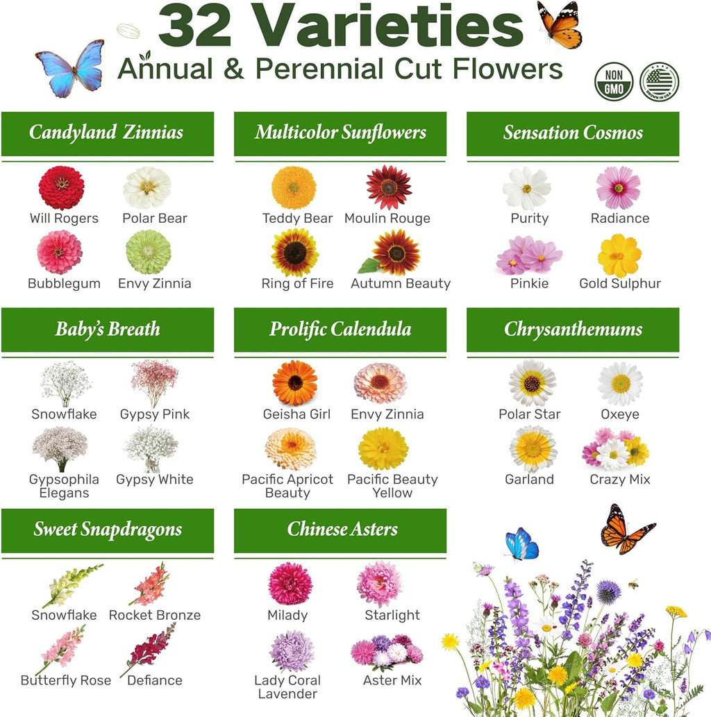 Herbal Wisdom - Vintage Seed Chest Collection