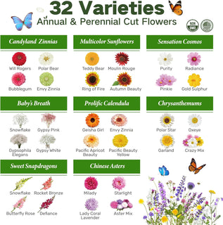 Herbal Wisdom - Vintage Seed Chest Collection