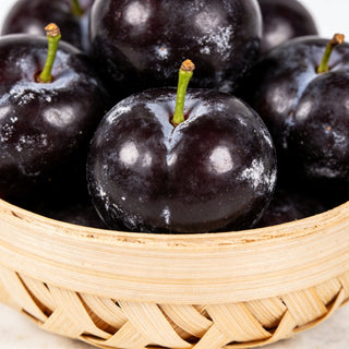 PlumVera – Sweet Plum Growing Kit