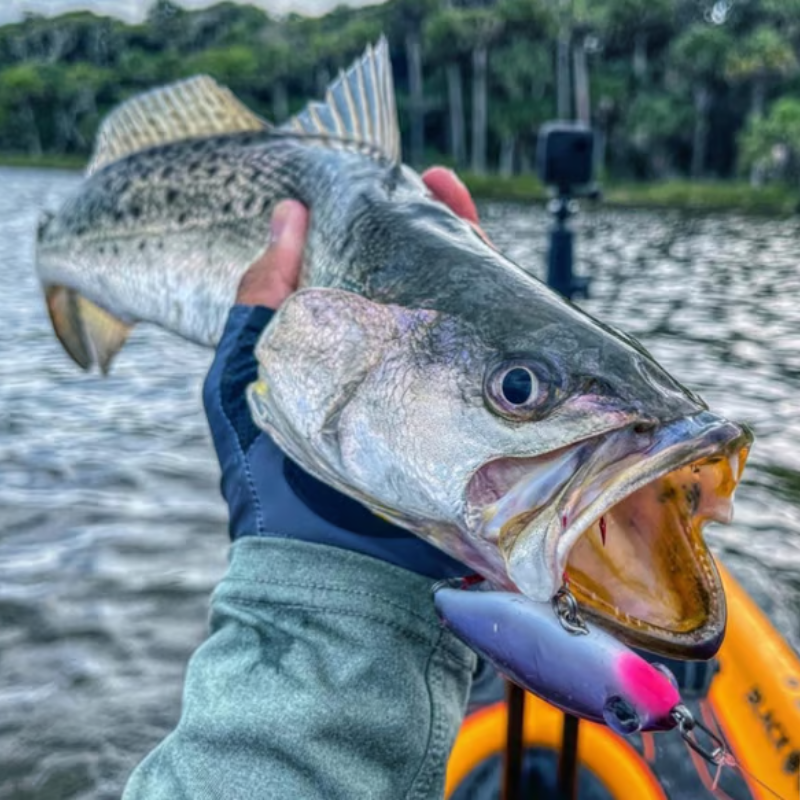 TopwaterCo – Quick Snap Fishing Speed Clips