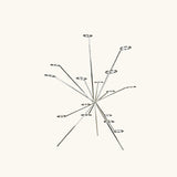 CosmicSpill - Sculptural Fruit Display