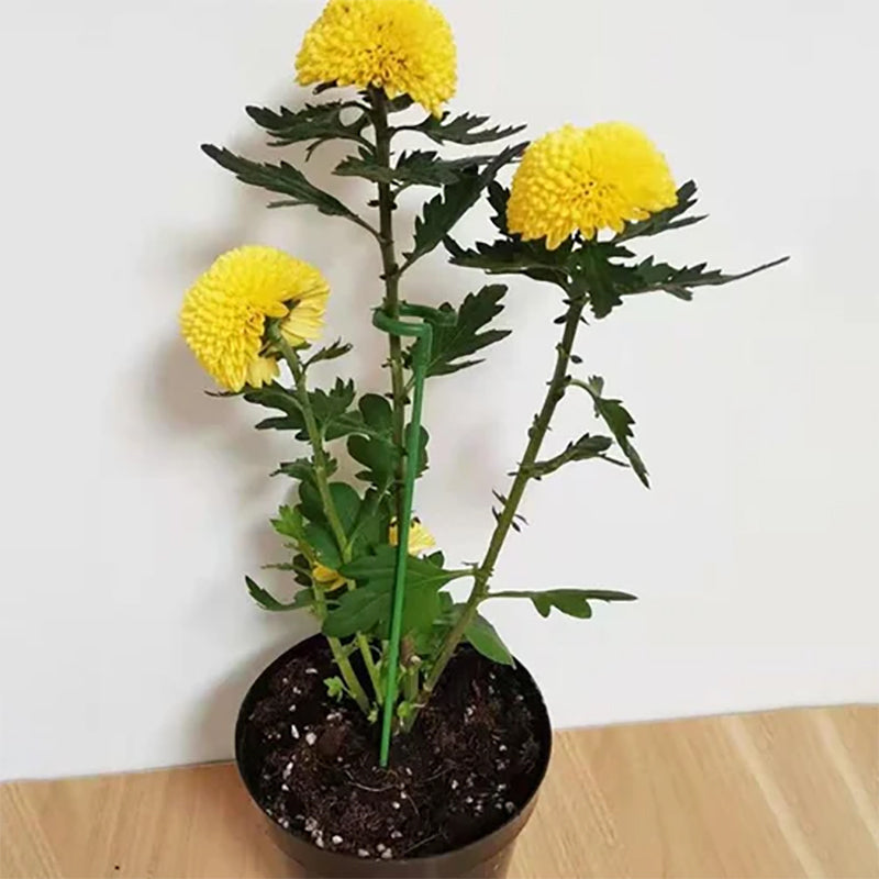 GrowGuard – Plant Support Post